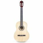 Akustikgitarren