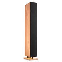 Audizio ARCO aktiver HiFi-Lautsprecher – HiFi-Standlautsprecher 4" Woofer – 160W – Holzoptik