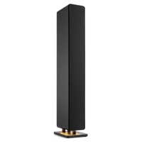Audizio ARCO aktiver HiFi-Lautsprecher – HiFi-Standlautsprecher 4" Woofer – 160W – Schwarz