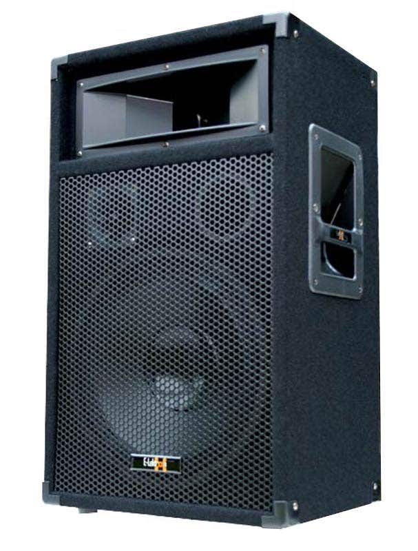 E-Lektron PW30 PA Lautsprecher - 12 Zoll Passiv 3 Wege - 600 W